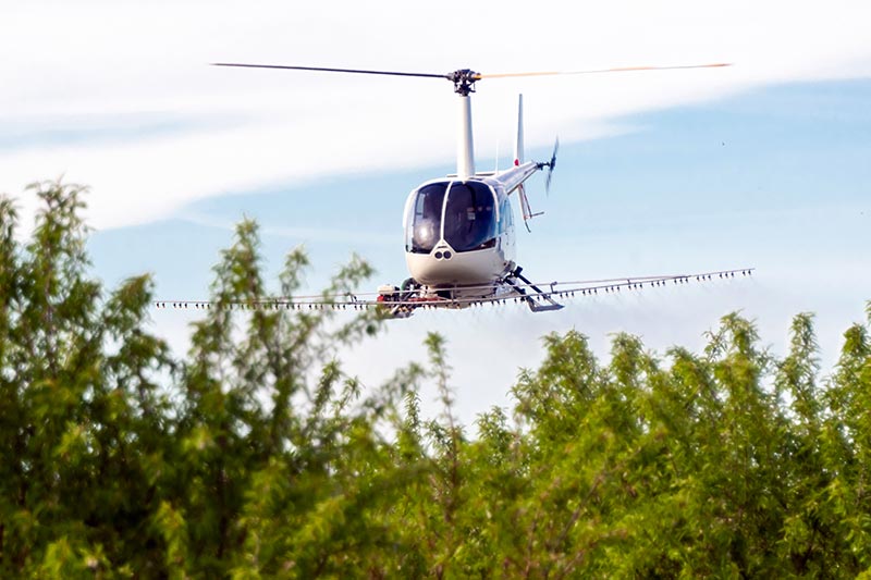 Louisiana Frost Control by Helicopter